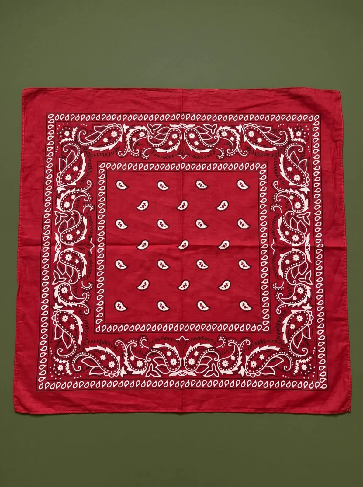 Rouge Paisley Bandana